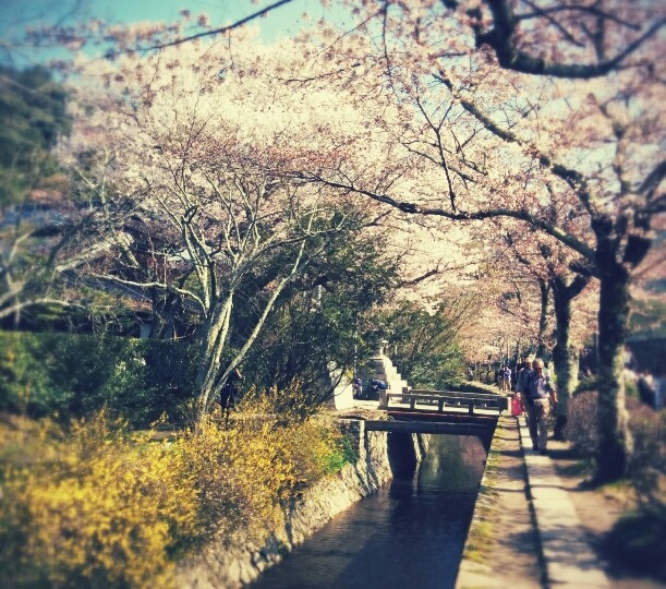 Tetsugakuno Michi(The Path of Philosophy)