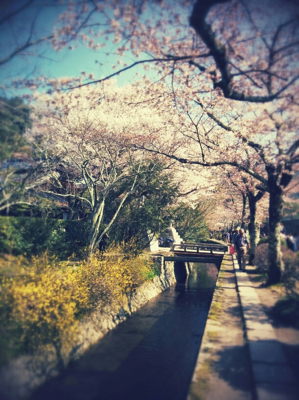 Tetsugakuno Michi(The Path of Philosophy)